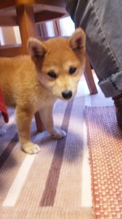 !cid_01@101114_134316@_____SH08B@docomo_ne.jpg
