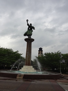 DSC00239.jpg