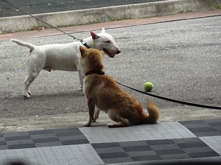 DSC01100.jpg