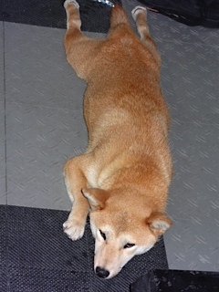 DSC01235.jpg
