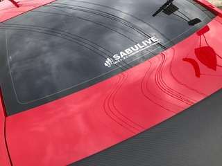 IMG_2893.jpg