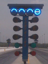 tree1.jpg